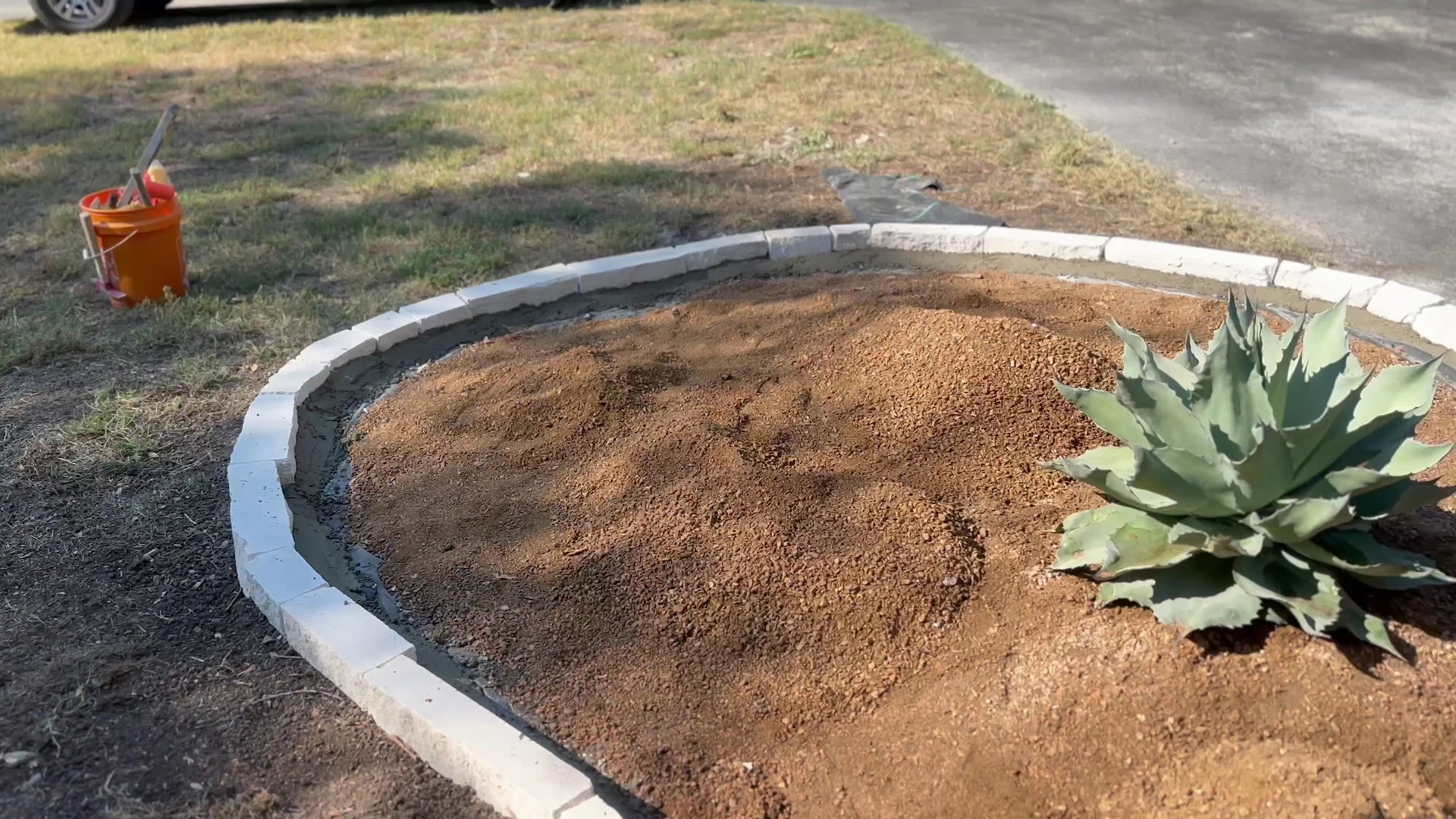 Curved concrete landscape border with fresh planting, Seguin TX